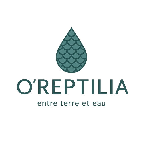 Ma boutique